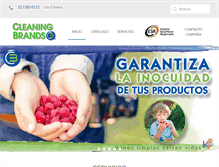 Tablet Screenshot of cleaning-brands.com